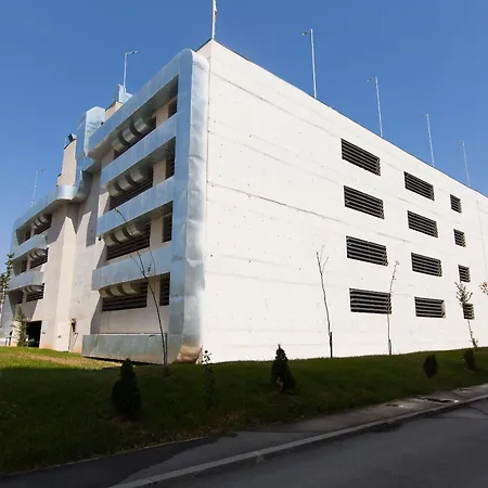 Ivory - Modern Minimalist *